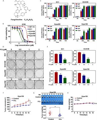 Fangchinoline Inhibits Human Esophageal Cancer by Transactivating ATF4 to Trigger Both Noxa-Dependent Intrinsic and DR5-Dependent Extrinsic Apoptosis